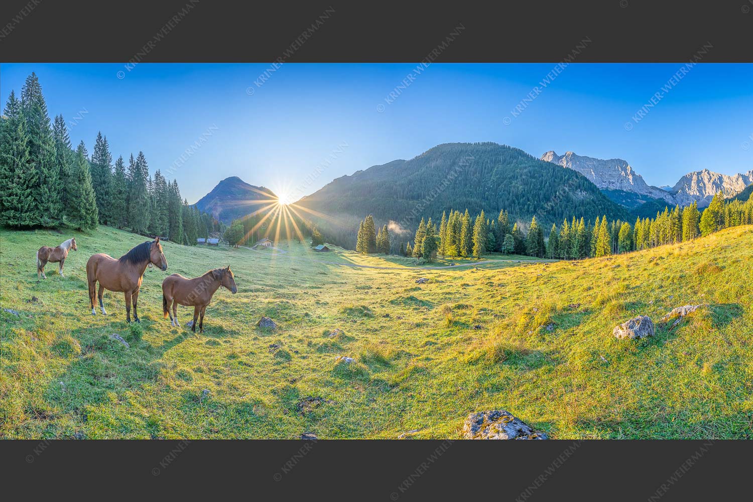 Sonnenaufgang auf der Brandlealm im Karwendelgebirge - Almpferde II 2:1  -- Brandlealm Pferde Karwendel - mehr Infos bei www.Kriner-Weiermann.de