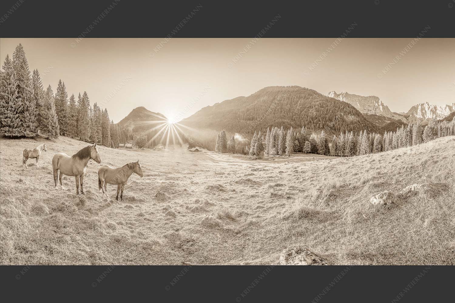 Sonnenaufgang auf der Brandlealm im Karwendelgebirge - Almpferde II 2:1 sepia -- Brandlealm Pferde Karwendel - mehr Infos bei www.Kriner-Weiermann.de