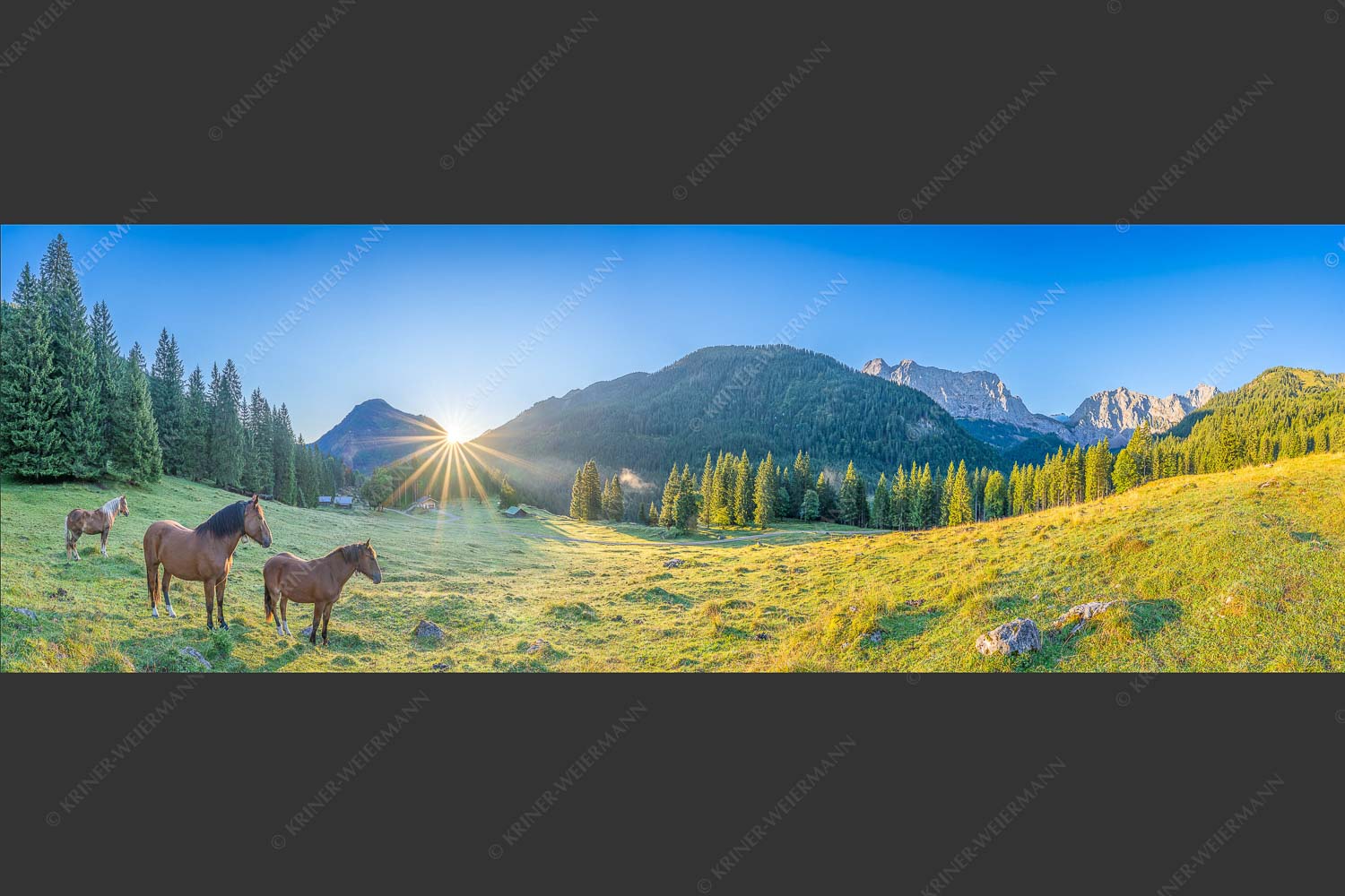 Sonnenaufgang auf der Brandlealm im Karwendelgebirge - Almpferde II 3:1  -- Brandlealm Pferde Karwendel - mehr Infos bei www.Kriner-Weiermann.de