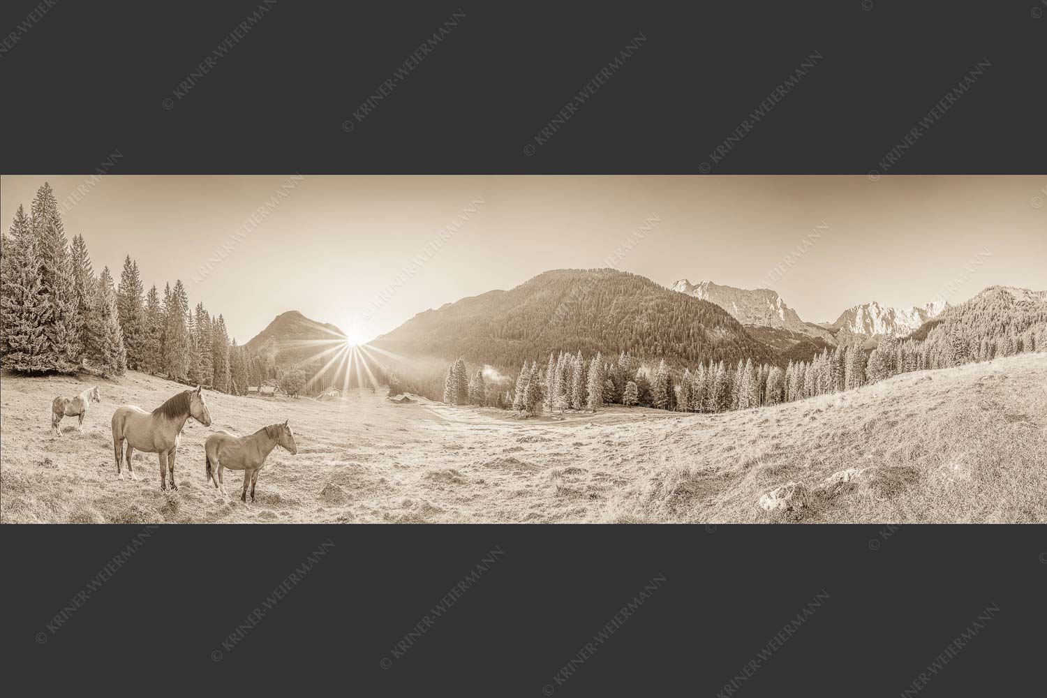 Sonnenaufgang auf der Brandlealm im Karwendelgebirge - Almpferde II 3:1 sepia -- Brandlealm Pferde Karwendel - mehr Infos bei www.Kriner-Weiermann.de