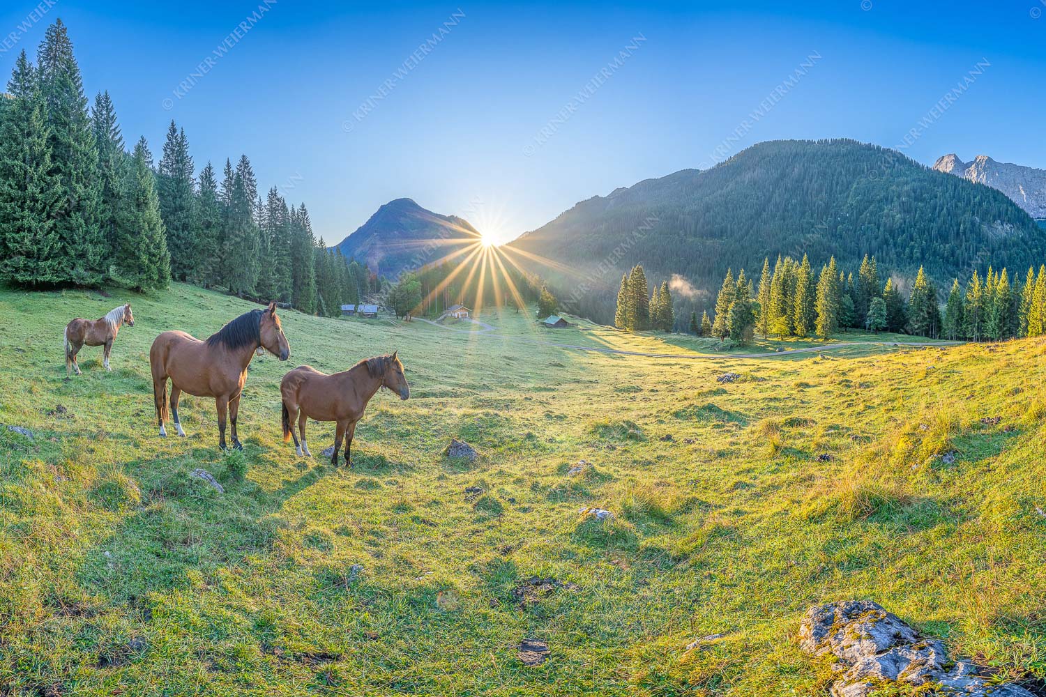 Sonnenaufgang auf der Brandlealm im Karwendelgebirge - Almpferde II 3:2  -- Brandlealm Pferde Karwendel - mehr Infos bei www.Kriner-Weiermann.de