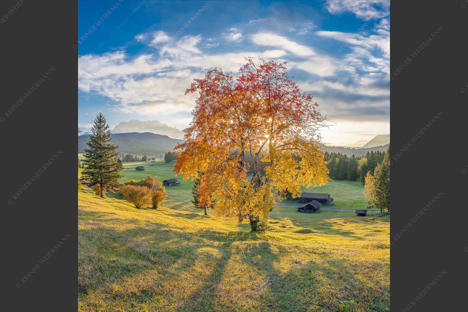 Herbststimmung an den Buckelwiesen zwischen Krün und Mittenwald - Goldene Zeiten 1:1  -- Buckelwiesen Alpenwelt Karwendel - mehr Infos bei www.Kriner-Weiermann.de