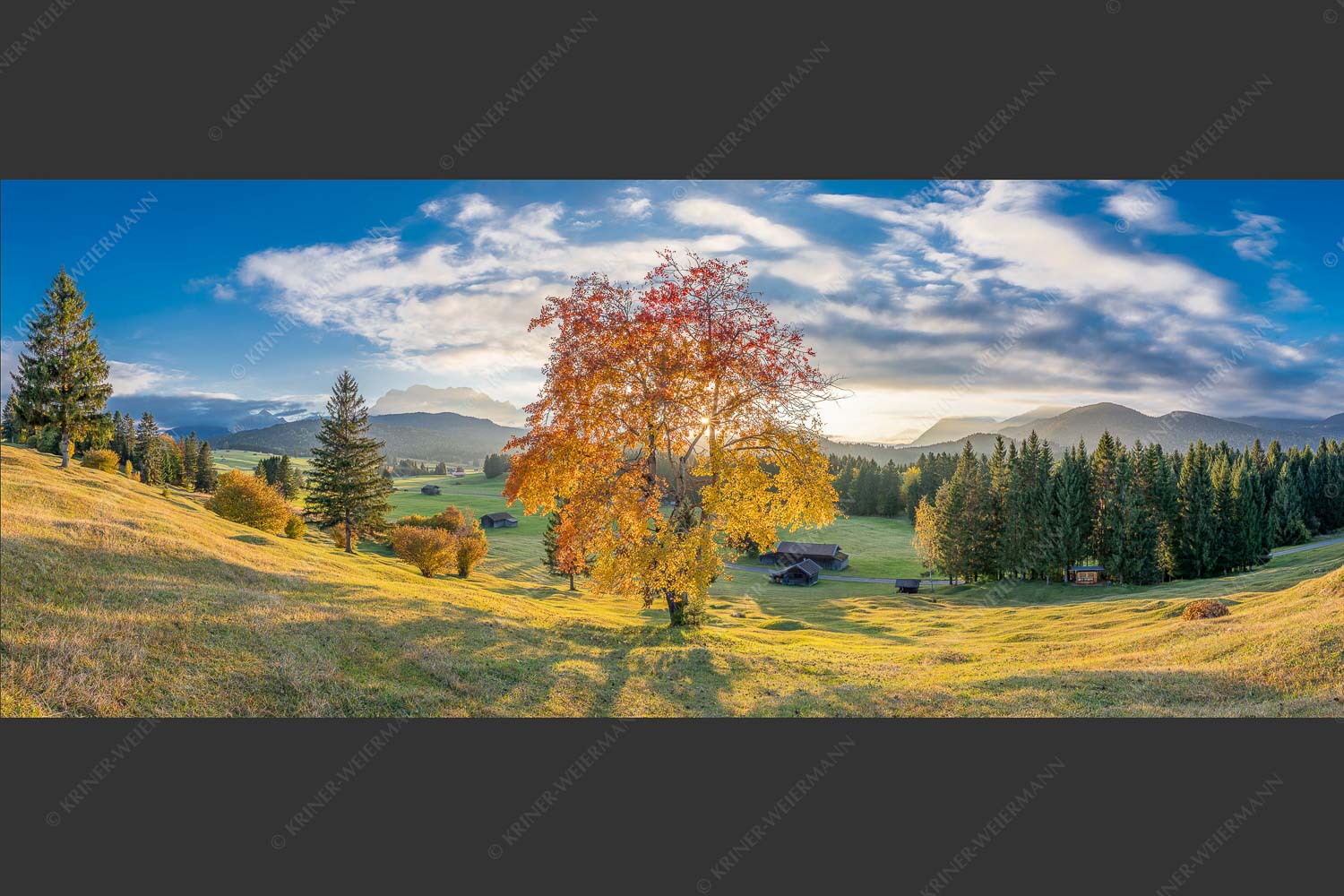 Herbststimmung an den Buckelwiesen zwischen Krün und Mittenwald - Goldene Zeiten 2,5:1  -- Buckelwiesen Alpenwelt Karwendel - mehr Infos bei www.Kriner-Weiermann.de