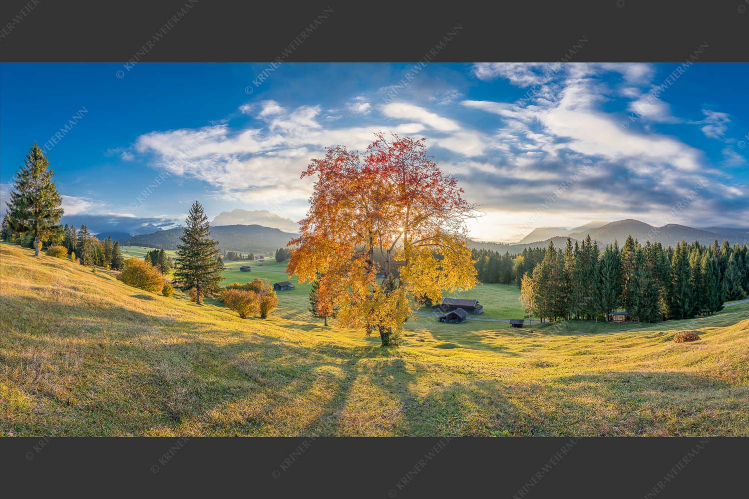 Herbststimmung an den Buckelwiesen zwischen Krün und Mittenwald - Goldene Zeiten 2:1  -- Buckelwiesen Alpenwelt Karwendel - mehr Infos bei www.Kriner-Weiermann.de