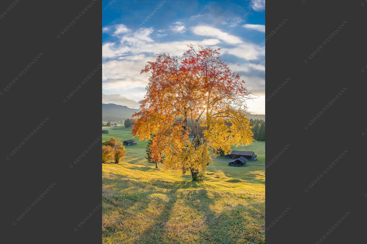 Herbststimmung an den Buckelwiesen zwischen Krün und Mittenwald - Goldene Zeiten 2:3  -- Buckelwiesen Alpenwelt Karwendel - mehr Infos bei www.Kriner-Weiermann.de