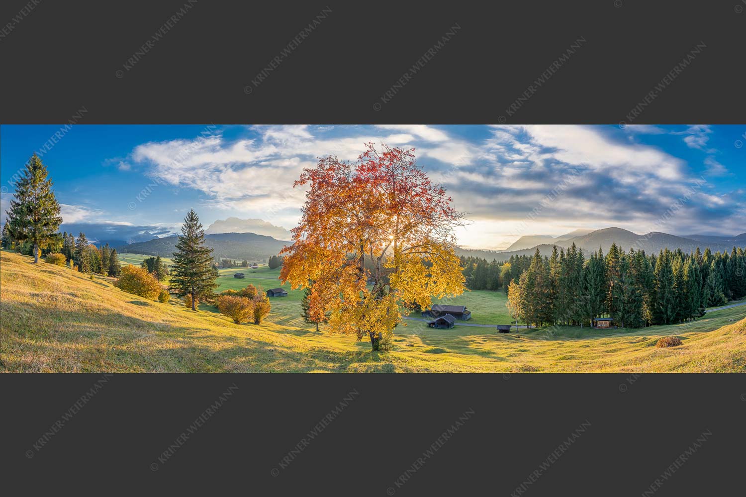 Herbststimmung an den Buckelwiesen zwischen Krün und Mittenwald - Goldene Zeiten 3:1  -- Buckelwiesen Alpenwelt Karwendel - mehr Infos bei www.Kriner-Weiermann.de