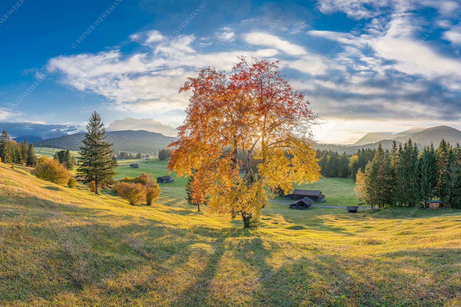 Herbststimmung an den Buckelwiesen zwischen Krün und Mittenwald - Goldene Zeiten 3:2  -- Buckelwiesen Alpenwelt Karwendel - mehr Infos bei www.Kriner-Weiermann.de