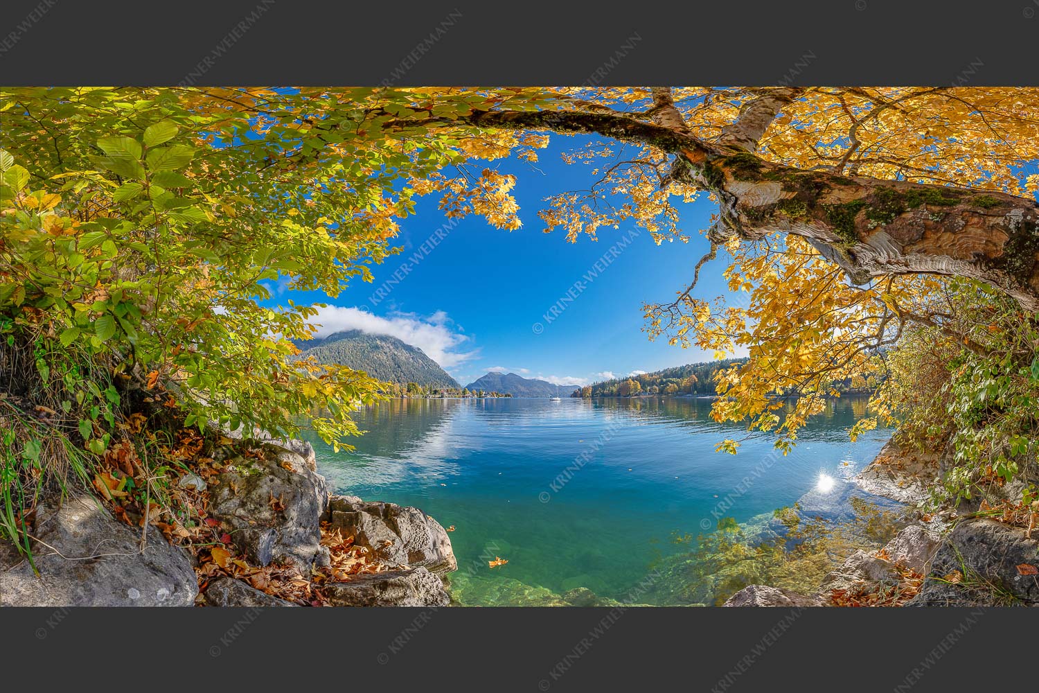 Farbenfroh zeigen sich im Herbst die Uferregionen des Sees - Walchensee im Herbst 2:1  -- Herzogstand mit Walchenseebucht - mehr Infos bei www.Kriner-Weiermann.de