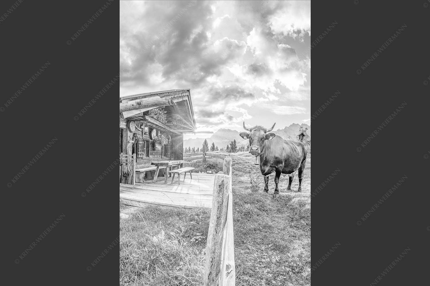 Malerische Almhütte bei Mittenwald mit Karwendel - Almbiente II 2:3 sw -- Mittenwald Alm Buckelwiesen Karwendel - mehr Infos bei www.Kriner-Weiermann.de
