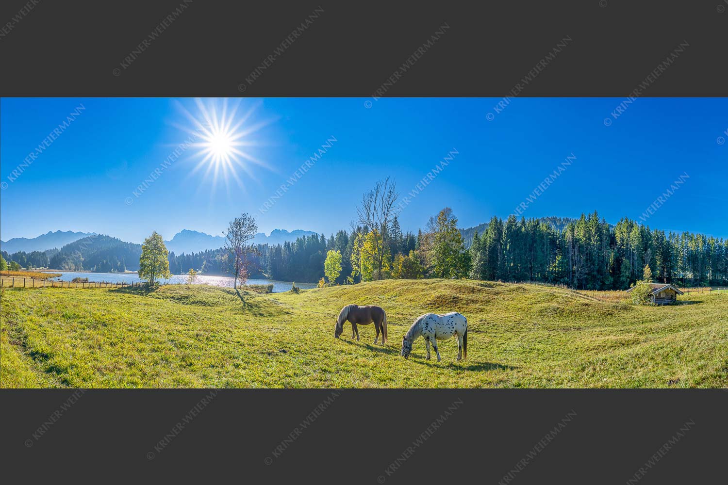 Zwei Pferde auf Herbstweide vor dem Geroldsee mit Blick zum Wörner im Karwendel - Zwischen Pferd und Berg 2,5:1  -- Geroldsee Karwendel - mehr Infos bei www.Kriner-Weiermann.de