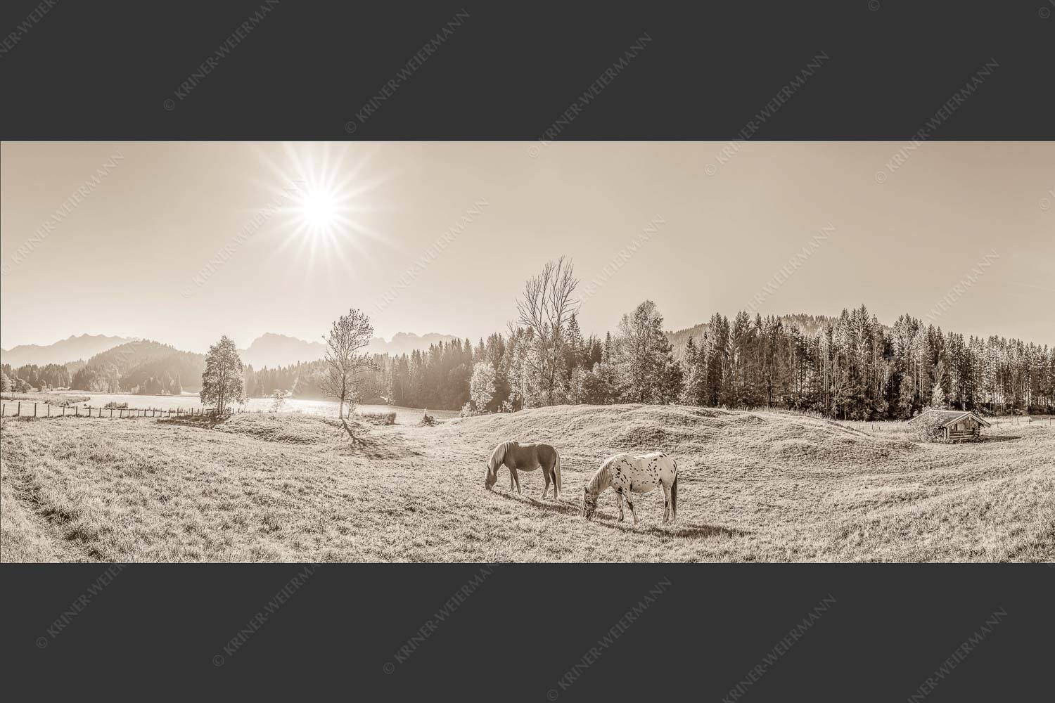 Zwei Pferde auf Herbstweide vor dem Geroldsee mit Blick zum Wörner im Karwendel - Zwischen Pferd und Berg 2,5:1 sepia -- Geroldsee Karwendel - mehr Infos bei www.Kriner-Weiermann.de