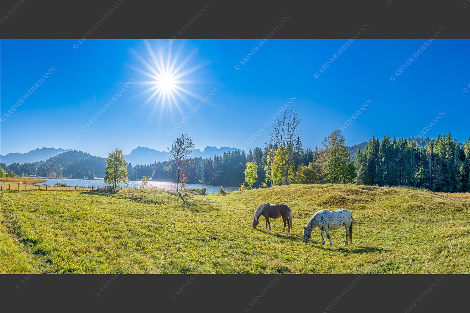 Zwei Pferde auf Herbstweide vor dem Geroldsee mit Blick zum Wörner im Karwendel - Zwischen Pferd und Berg 2:1  -- Geroldsee Karwendel - mehr Infos bei www.Kriner-Weiermann.de