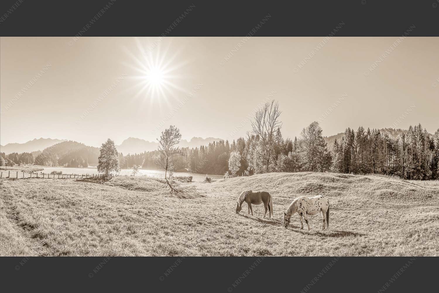 Zwei Pferde auf Herbstweide vor dem Geroldsee mit Blick zum Wörner im Karwendel - Zwischen Pferd und Berg 2:1 sepia -- Geroldsee Karwendel - mehr Infos bei www.Kriner-Weiermann.de
