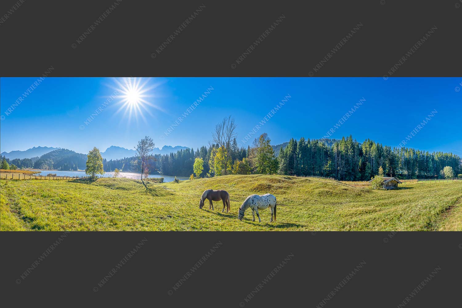 Zwei Pferde auf Herbstweide vor dem Geroldsee mit Blick zum Wörner im Karwendel - Zwischen Pferd und Berg 3:1  -- Geroldsee Karwendel - mehr Infos bei www.Kriner-Weiermann.de