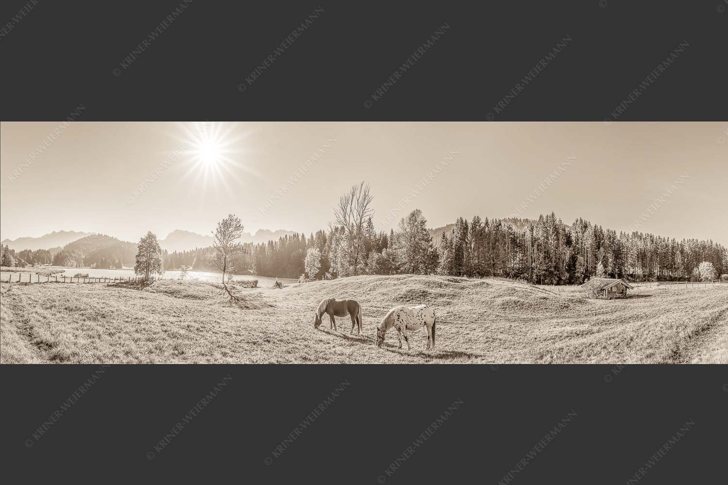 Zwei Pferde auf Herbstweide vor dem Geroldsee mit Blick zum Wörner im Karwendel - Zwischen Pferd und Berg 3:1 sepia -- Geroldsee Karwendel - mehr Infos bei www.Kriner-Weiermann.de