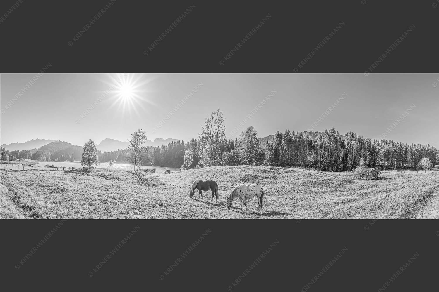 Zwei Pferde auf Herbstweide vor dem Geroldsee mit Blick zum Wörner im Karwendel - Zwischen Pferd und Berg 3:1 sw -- Geroldsee Karwendel - mehr Infos bei www.Kriner-Weiermann.de