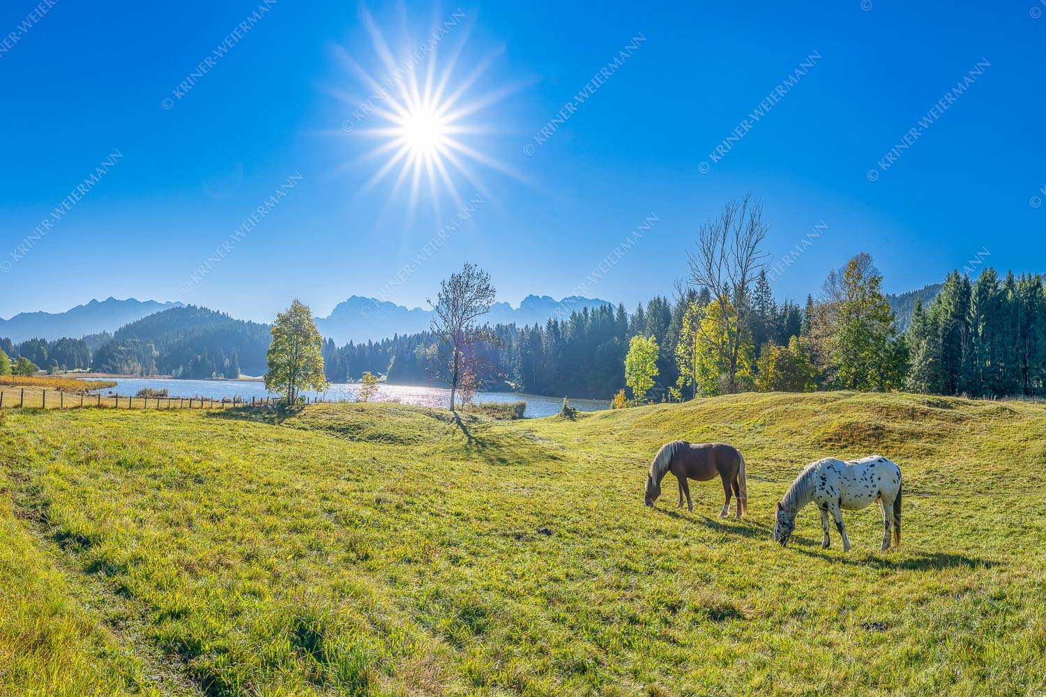 Zwei Pferde auf Herbstweide vor dem Geroldsee mit Blick zum Wörner im Karwendel - Zwischen Pferd und Berg 3:2  -- Geroldsee Karwendel - mehr Infos bei www.Kriner-Weiermann.de