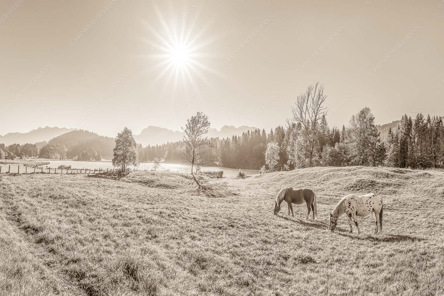 Zwei Pferde auf Herbstweide vor dem Geroldsee mit Blick zum Wörner im Karwendel - Zwischen Pferd und Berg 3:2 sepia -- Geroldsee Karwendel - mehr Infos bei www.Kriner-Weiermann.de