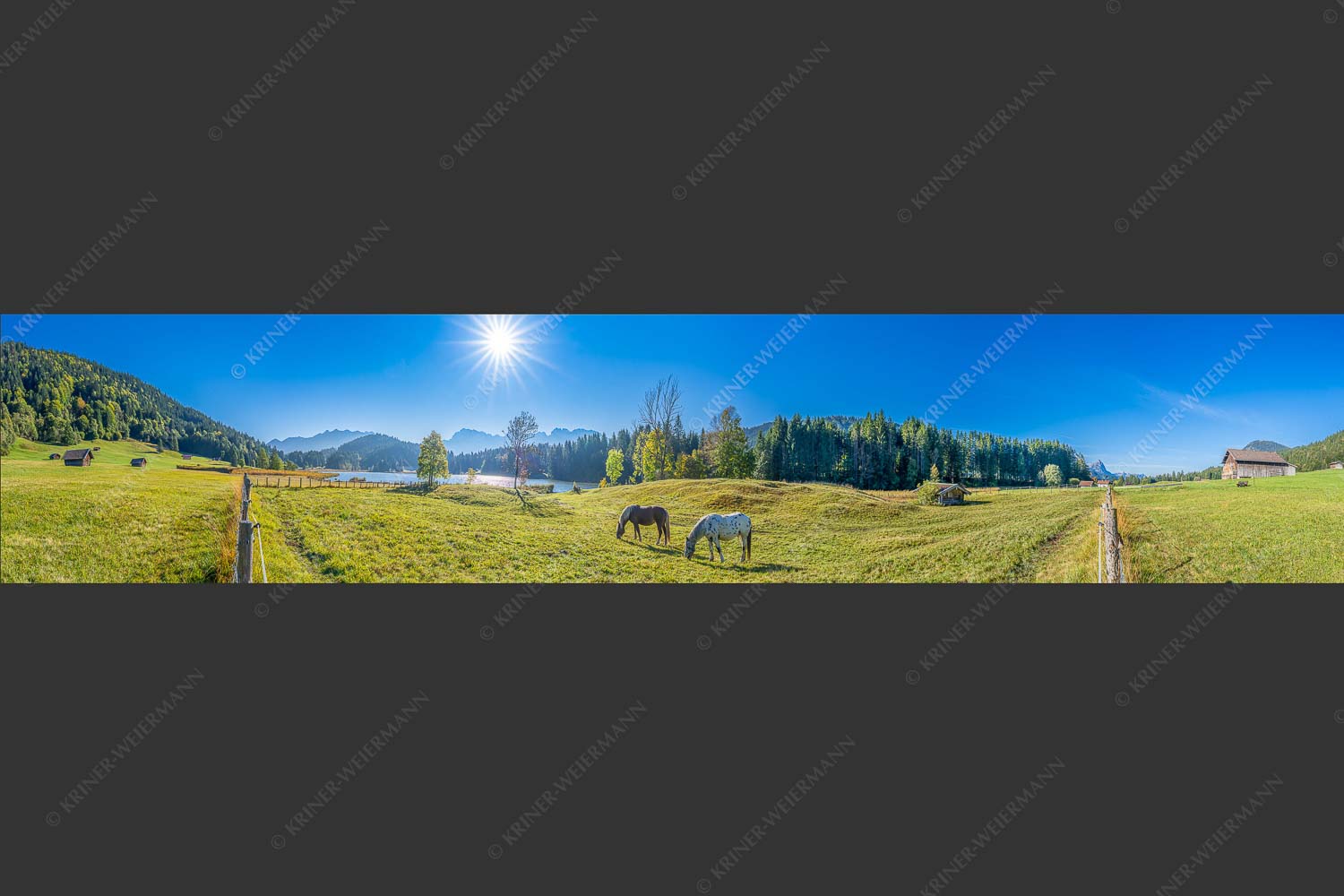 Zwei Pferde auf Herbstweide vor dem Geroldsee mit Blick zum Wörner im Karwendel - Zwischen Pferd und Berg 5:1  -- Geroldsee Karwendel - mehr Infos bei www.Kriner-Weiermann.de