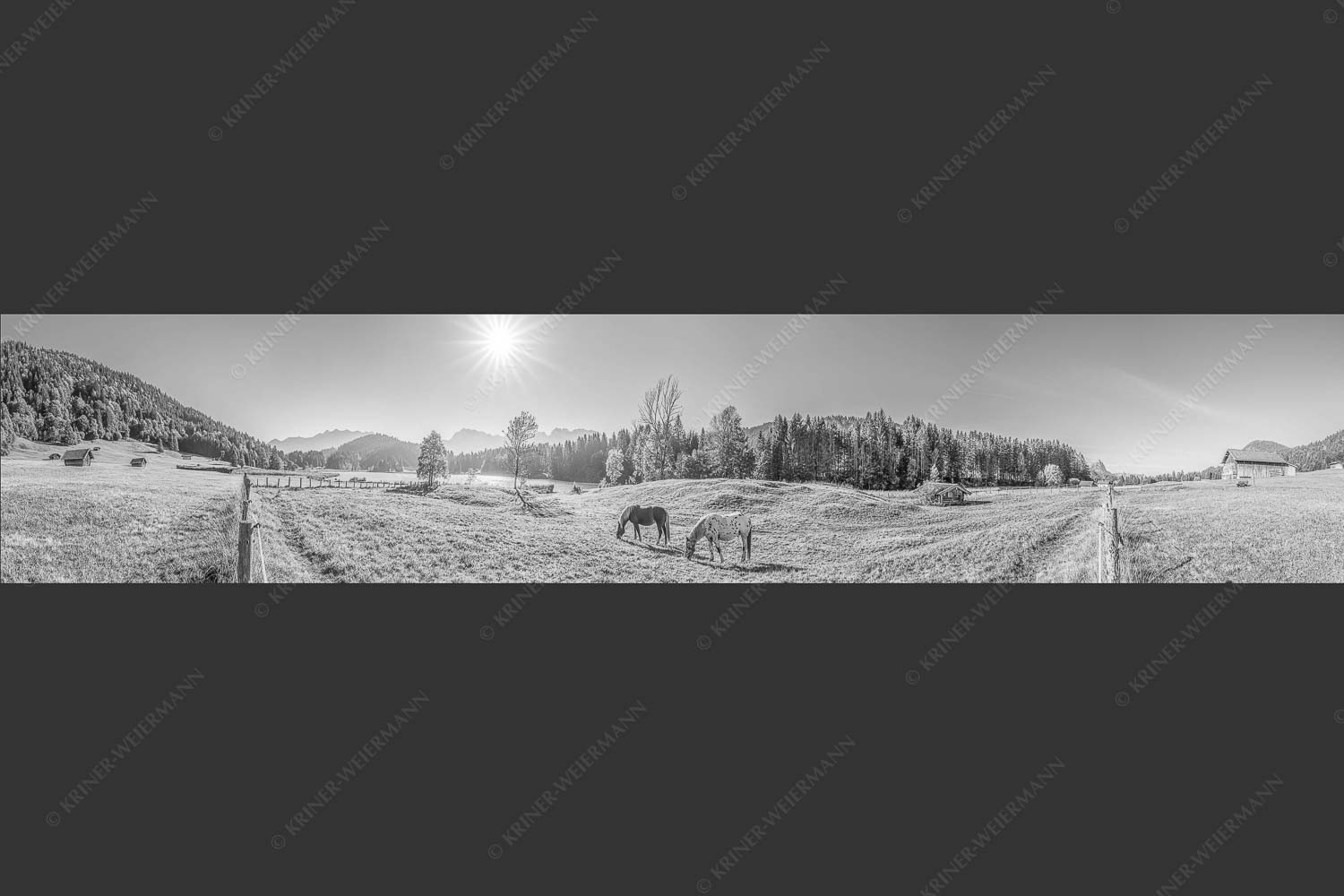 Zwei Pferde auf Herbstweide vor dem Geroldsee mit Blick zum Wörner im Karwendel - Zwischen Pferd und Berg 5:1 sw -- Geroldsee Karwendel - mehr Infos bei www.Kriner-Weiermann.de