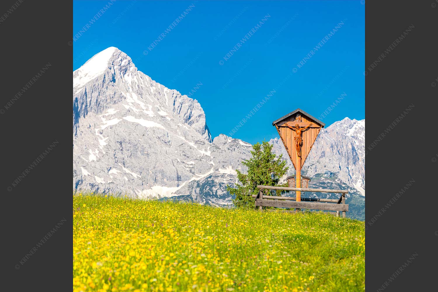 Blick über Blumenwiese am Eckbauer zum Zugspitzmassiv - Wegkreuz 1:1  -- Alpine Kulturlandschaft Alpspitze Zugspitze - mehr Infos bei www.Kriner-Weiermann.de