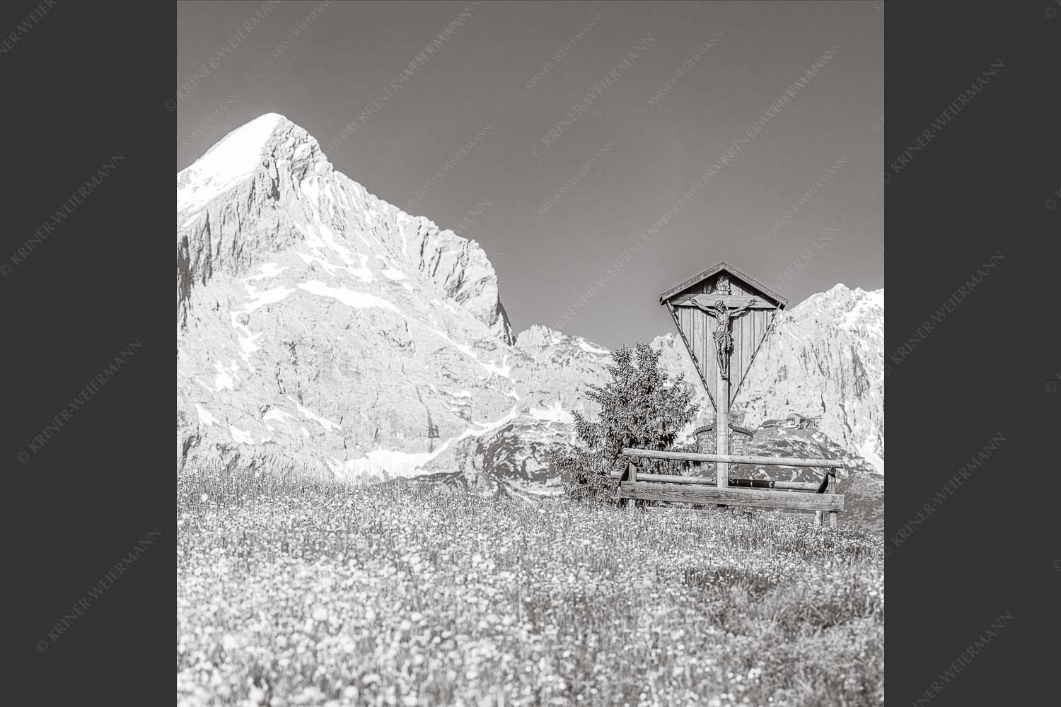 Blick über Blumenwiese am Eckbauer zum Zugspitzmassiv - Wegkreuz 1:1 sw -- Alpine Kulturlandschaft Alpspitze Zugspitze - mehr Infos bei www.Kriner-Weiermann.de