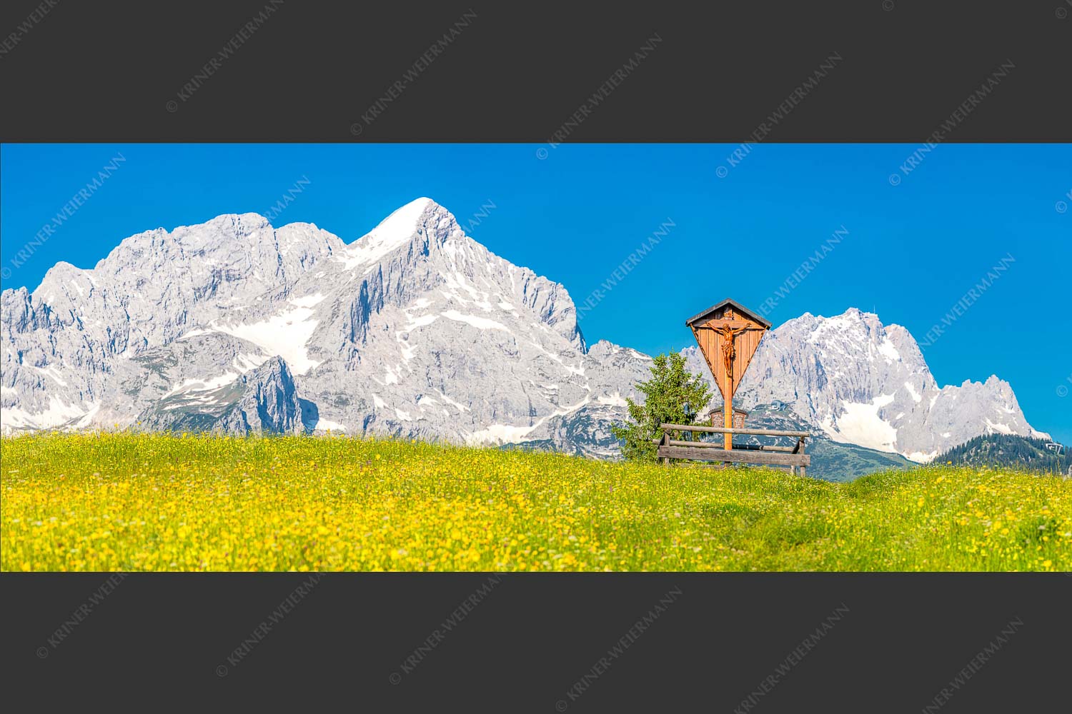 Blick über Blumenwiese am Eckbauer zum Zugspitzmassiv - Wegkreuz 2,5:1  -- Alpine Kulturlandschaft Alpspitze Zugspitze - mehr Infos bei www.Kriner-Weiermann.de