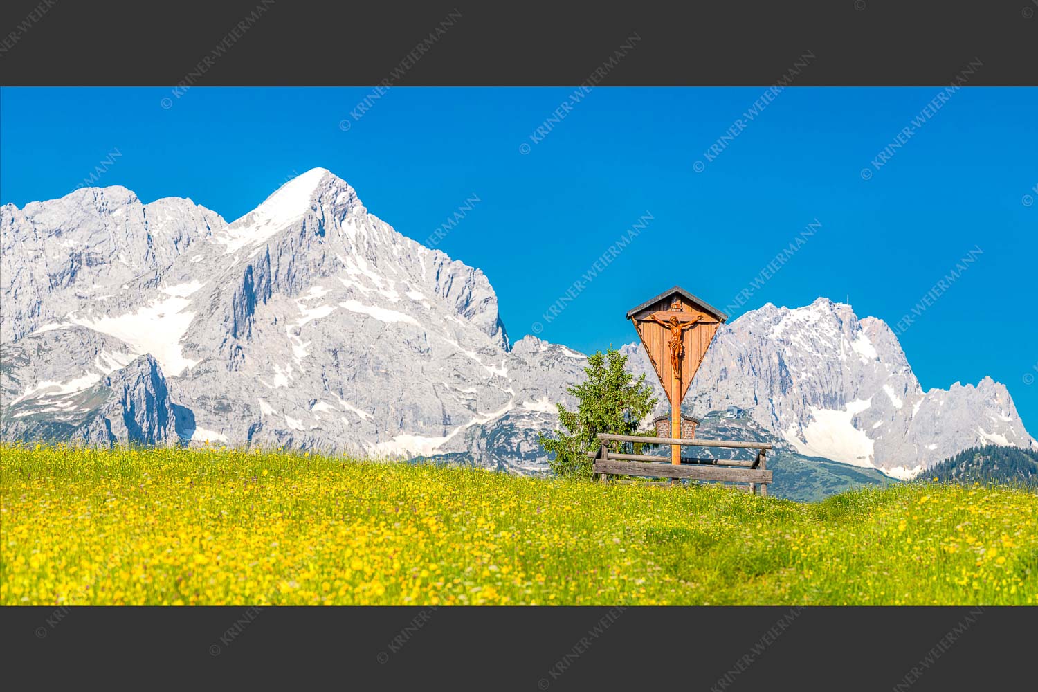 Blick über Blumenwiese am Eckbauer zum Zugspitzmassiv - Wegkreuz 2:1  -- Alpine Kulturlandschaft Alpspitze Zugspitze - mehr Infos bei www.Kriner-Weiermann.de