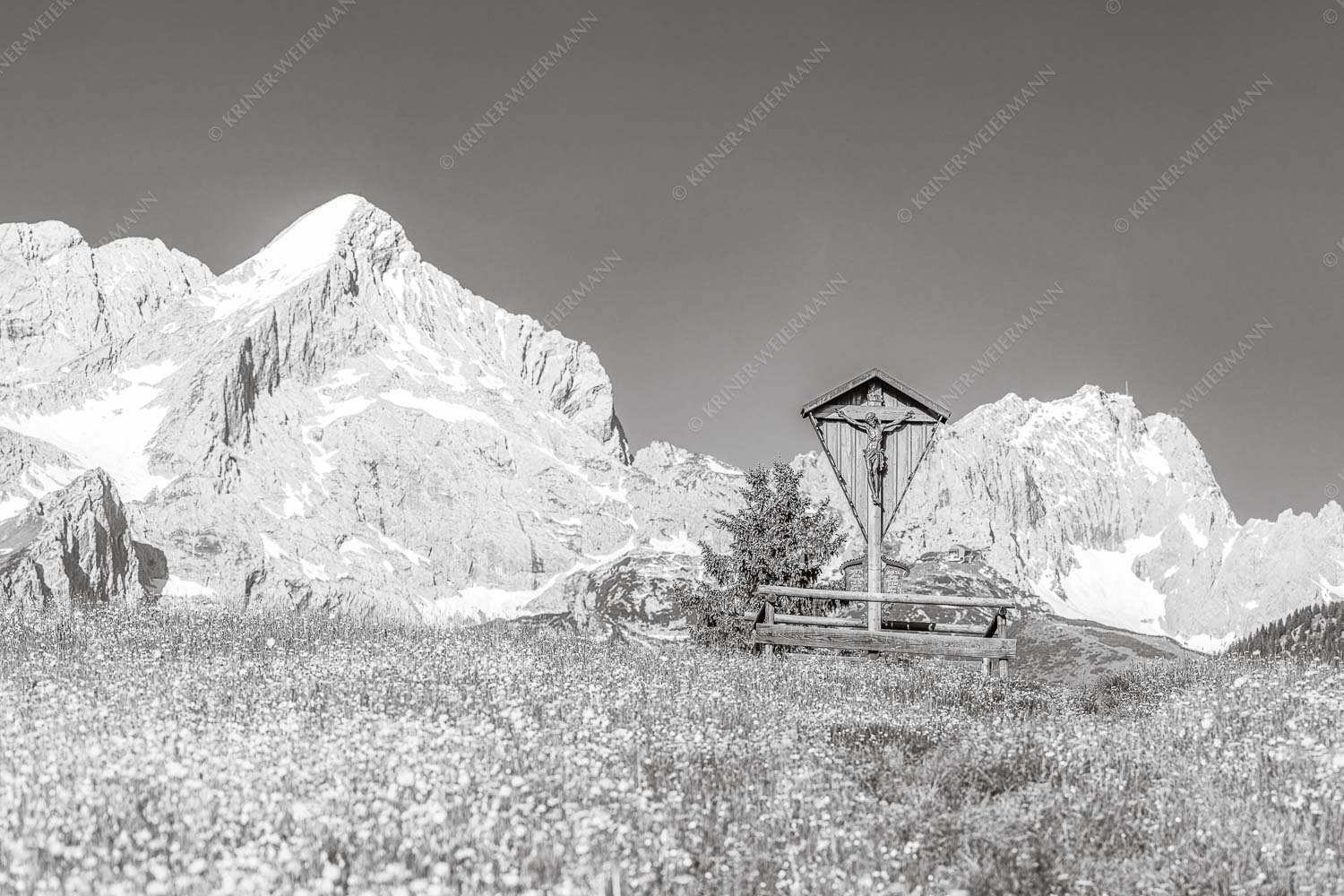 Blick über Blumenwiese am Eckbauer zum Zugspitzmassiv - Wegkreuz 3:2 sw -- Alpine Kulturlandschaft Alpspitze Zugspitze - mehr Infos bei www.Kriner-Weiermann.de