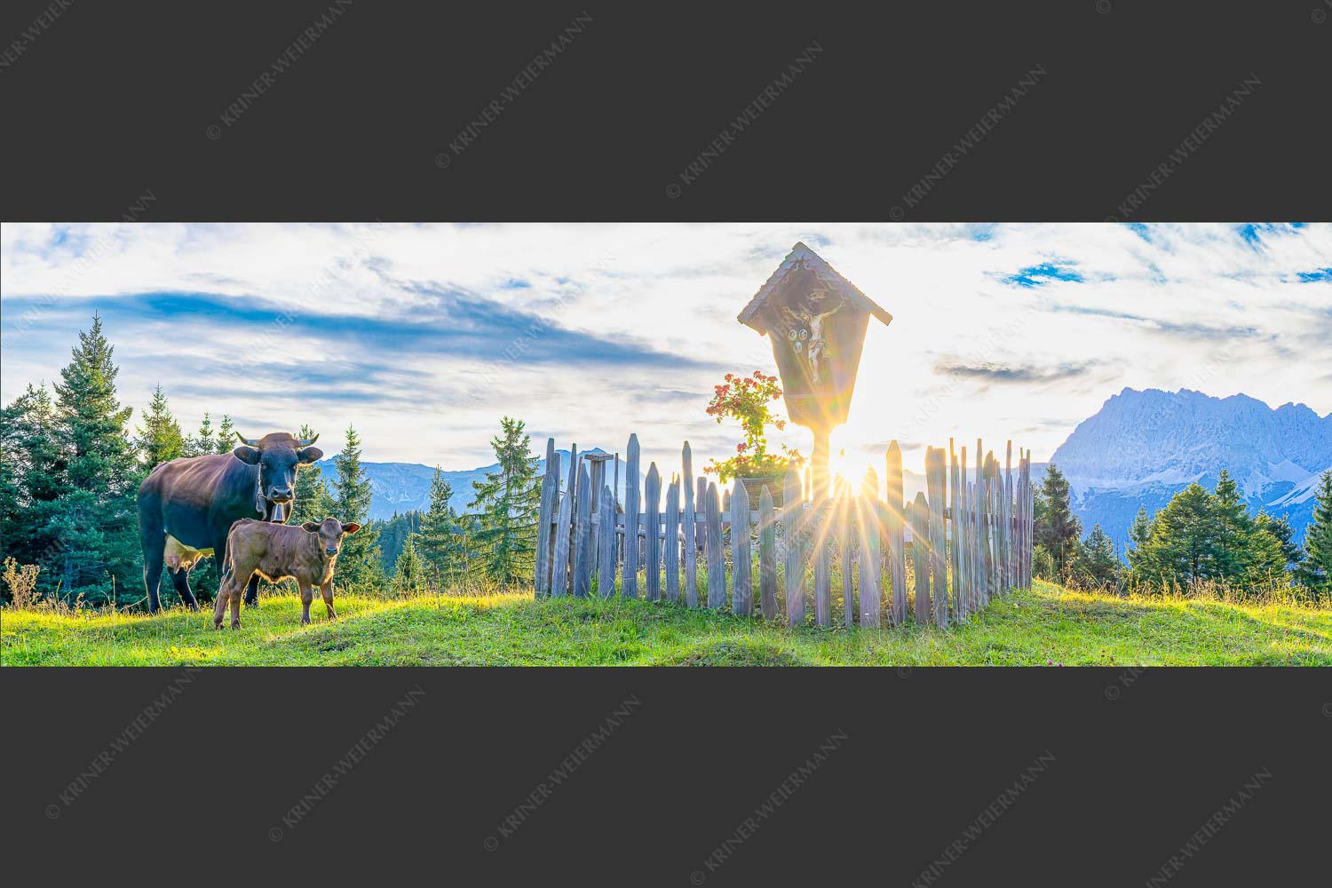 Mutterkuh mit Kalb und Feldkreuz mit Blick zum Karwendelgebirge - Wohl behütet 3:1  -- Mutterkuh Kalb Feldkreuz - mehr Infos bei www.Kriner-Weiermann.de
