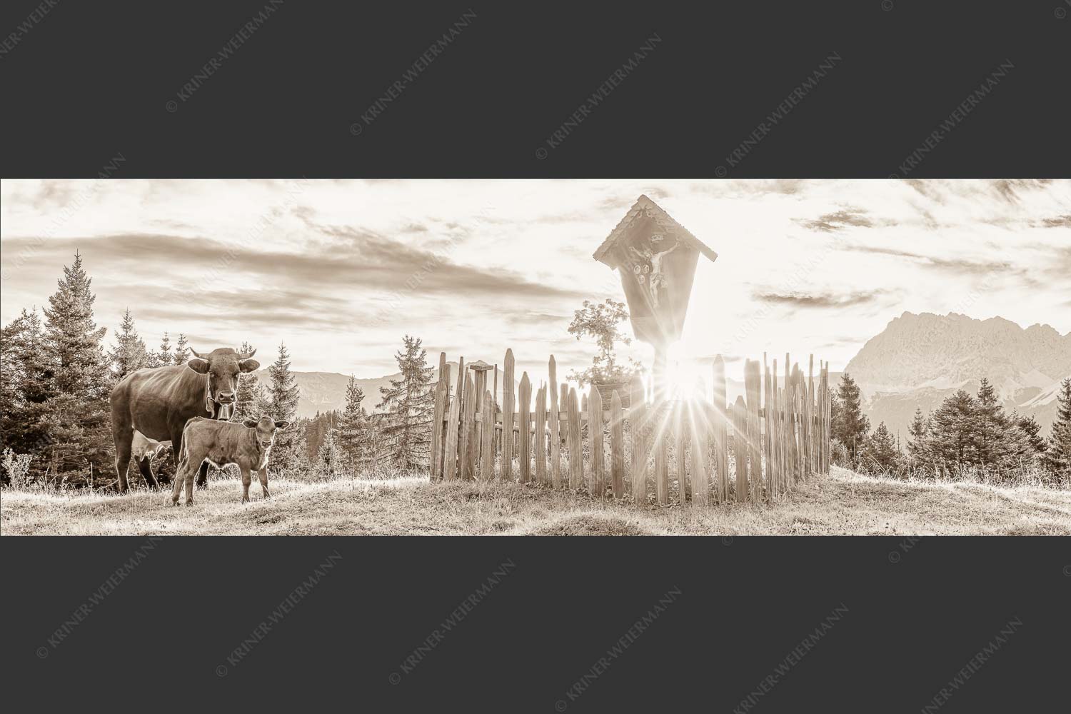 Mutterkuh mit Kalb und Feldkreuz mit Blick zum Karwendelgebirge - Wohl behütet 3:1 sepia -- Mutterkuh Kalb Feldkreuz - mehr Infos bei www.Kriner-Weiermann.de