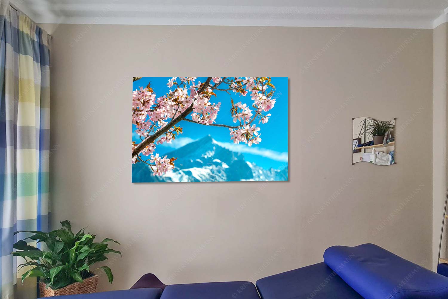 Frühlingsblüte vor Alpspitze - Alpspitze Übern Kopf gewachsen-Kirschblüten Alpspitze Garmisch 3:2 - mehr Infos bei www.Kriner-Weiermann.de