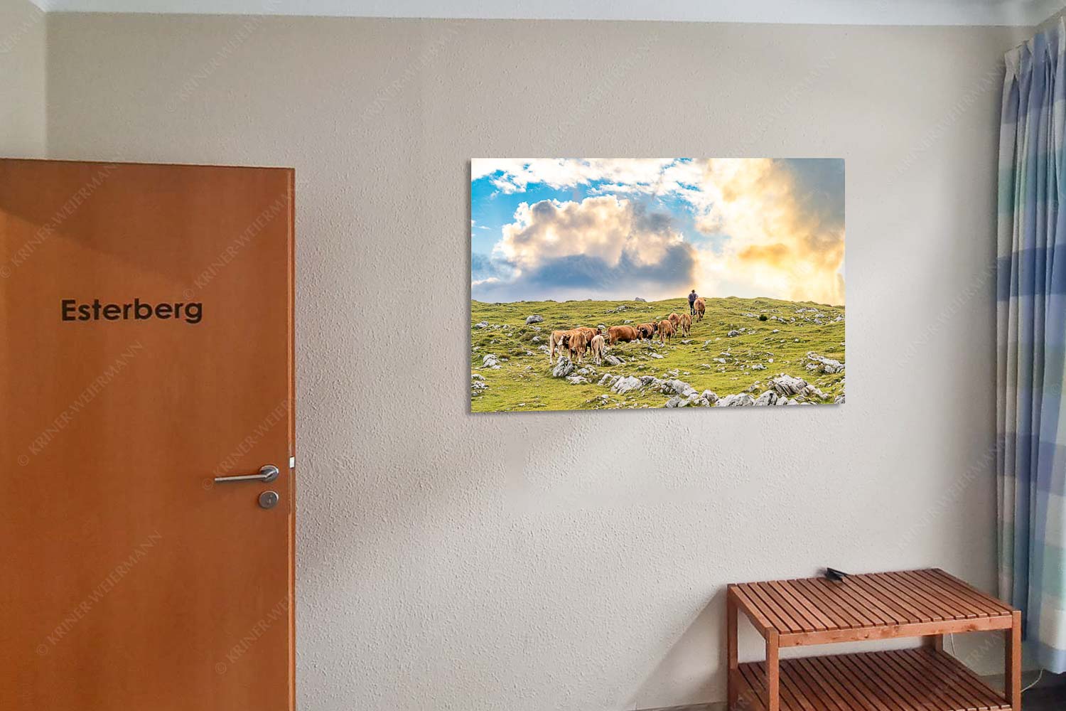 Hirte mit Jungvieh auf der Kuhalm im Estergebirge - Esterberg Umidreim-Hirte mit Kälbern auf der Alm 3:2 - mehr Infos bei www.Kriner-Weiermann.de