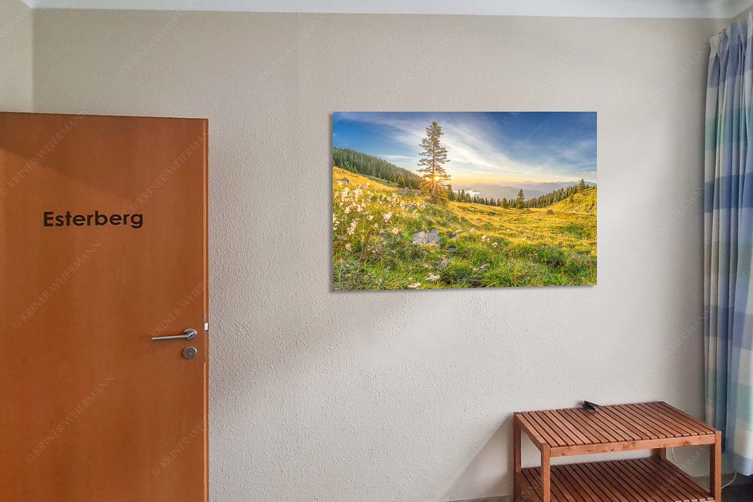 Almwiese am Simetsberg mit Walchensee - Esterberg Wollgras im Morgenlicht-Estergebirge Walchensee 3:2 - mehr Infos bei www.Kriner-Weiermann.de