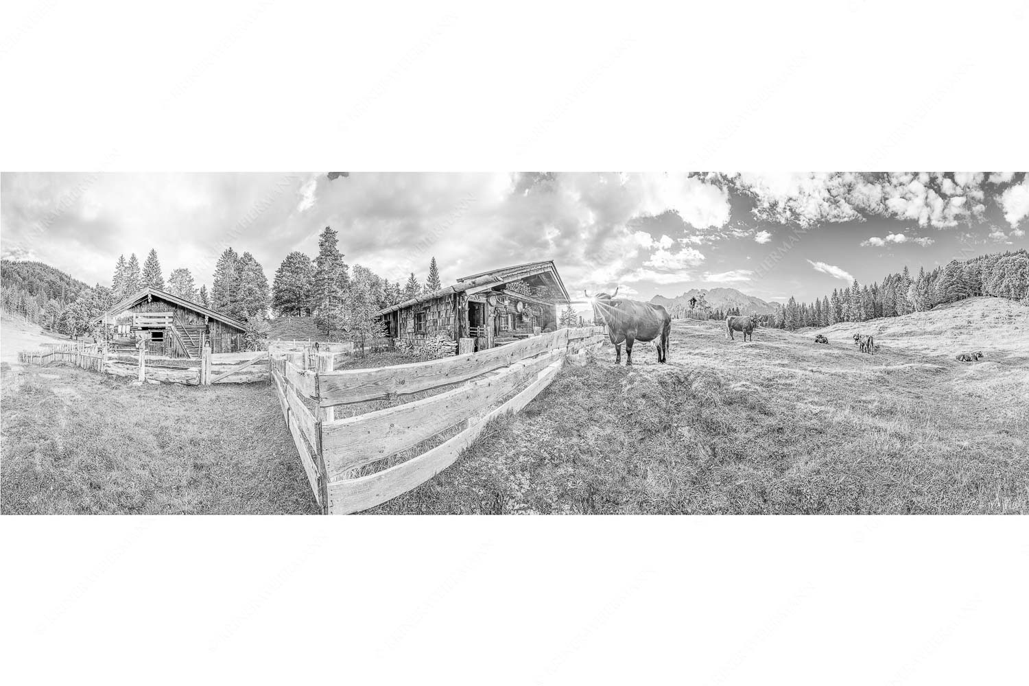 Malerische Almhütte bei Mittenwald mit Karwendel - Almbiente IV_3zu1_sw - mehr Infos bei www.Kriner-Weiermann.de