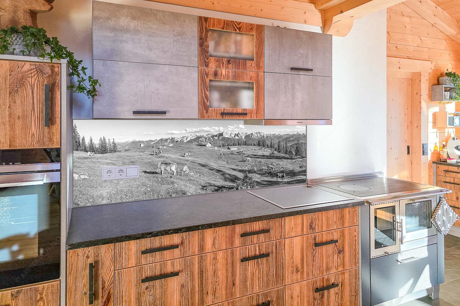 Blick über Krüneralm ins Karwendelgebirge - Küchenzeile=1 Auf da Krüneralm II-Alm und Kälber im Estergebirge 3:1 sw - mehr Infos bei www.Kriner-Weiermann.de