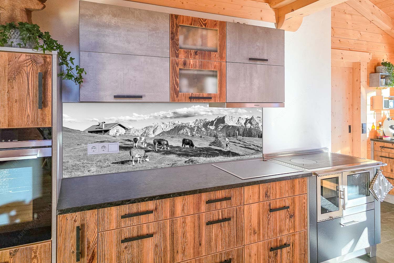 Blick über Krüneralm ins Karwendelgebirge - Küchenzeile=1 Auf da Krüneralm IV-Junge Kälber im Estergebirge 3:1 sw - mehr Infos bei www.Kriner-Weiermann.de