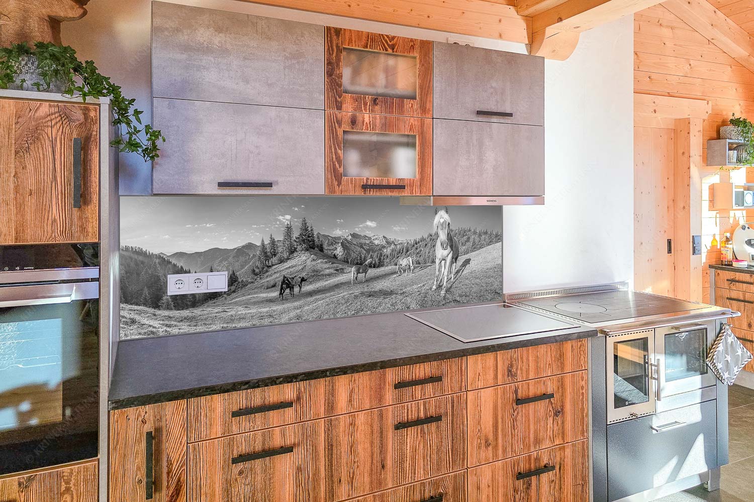 Haflinger Pferde mit Soiernspitze im Soierngebirge - Küchenzeile=1 Aufgeweckt-Pferde im Soierngebirge 3:1 sw - mehr Infos bei www.Kriner-Weiermann.de