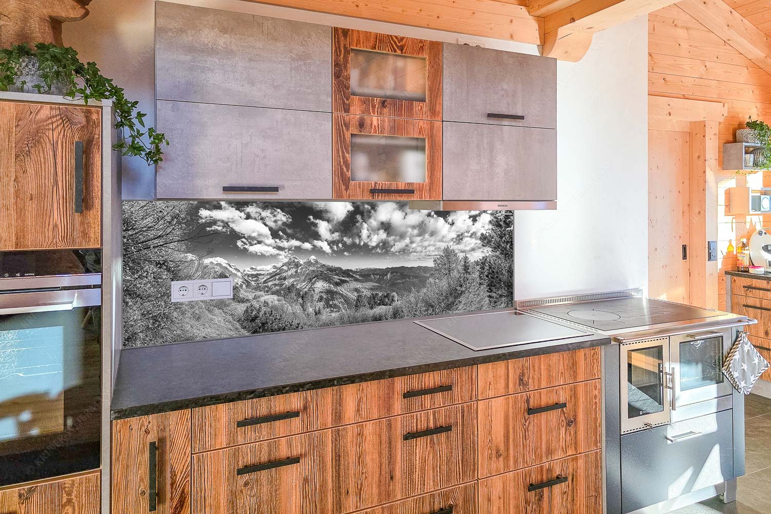 Blick über die Aussichtskanzel am Schachen zum Alpspitzmassiv mit Zugspitzplatt - Küchenzeile=1 Bella Vista-Aussicht vom Schachen 3:1 sw - mehr Infos bei www.Kriner-Weiermann.de