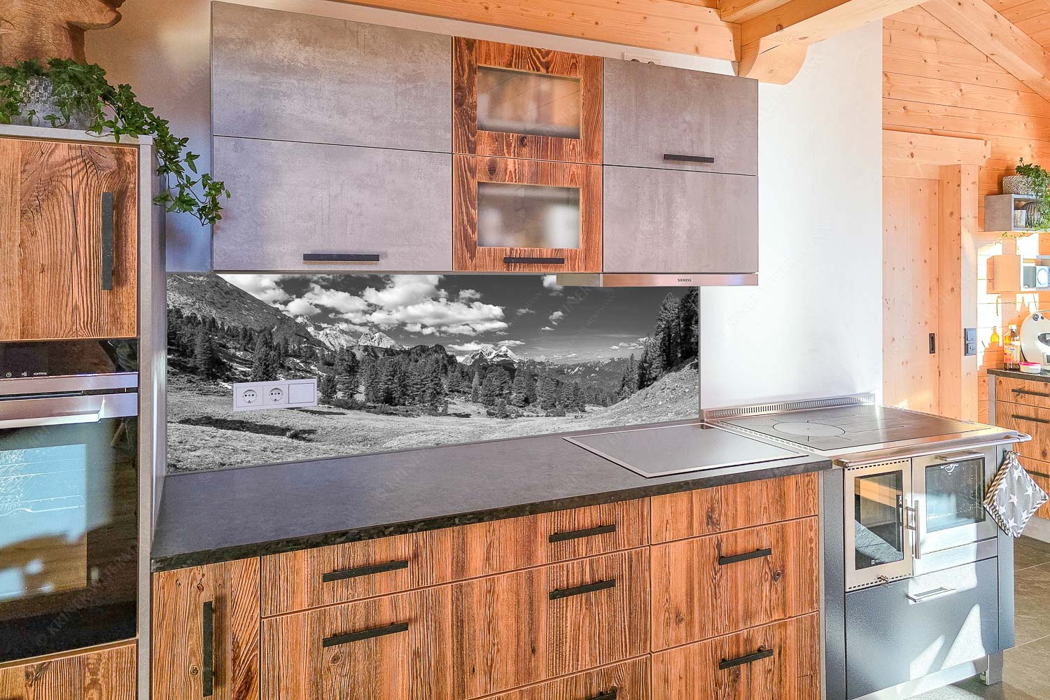 Großer Zirbenbestand auf der Wettersteinnordseite mit Blick aufs Zugspitzmassiv - Küchenzeile=1 Die Farben deines Himmels-Frühling im Wettersteingebirge 3:1 sw - mehr Infos bei www.Kriner-Weiermann.de