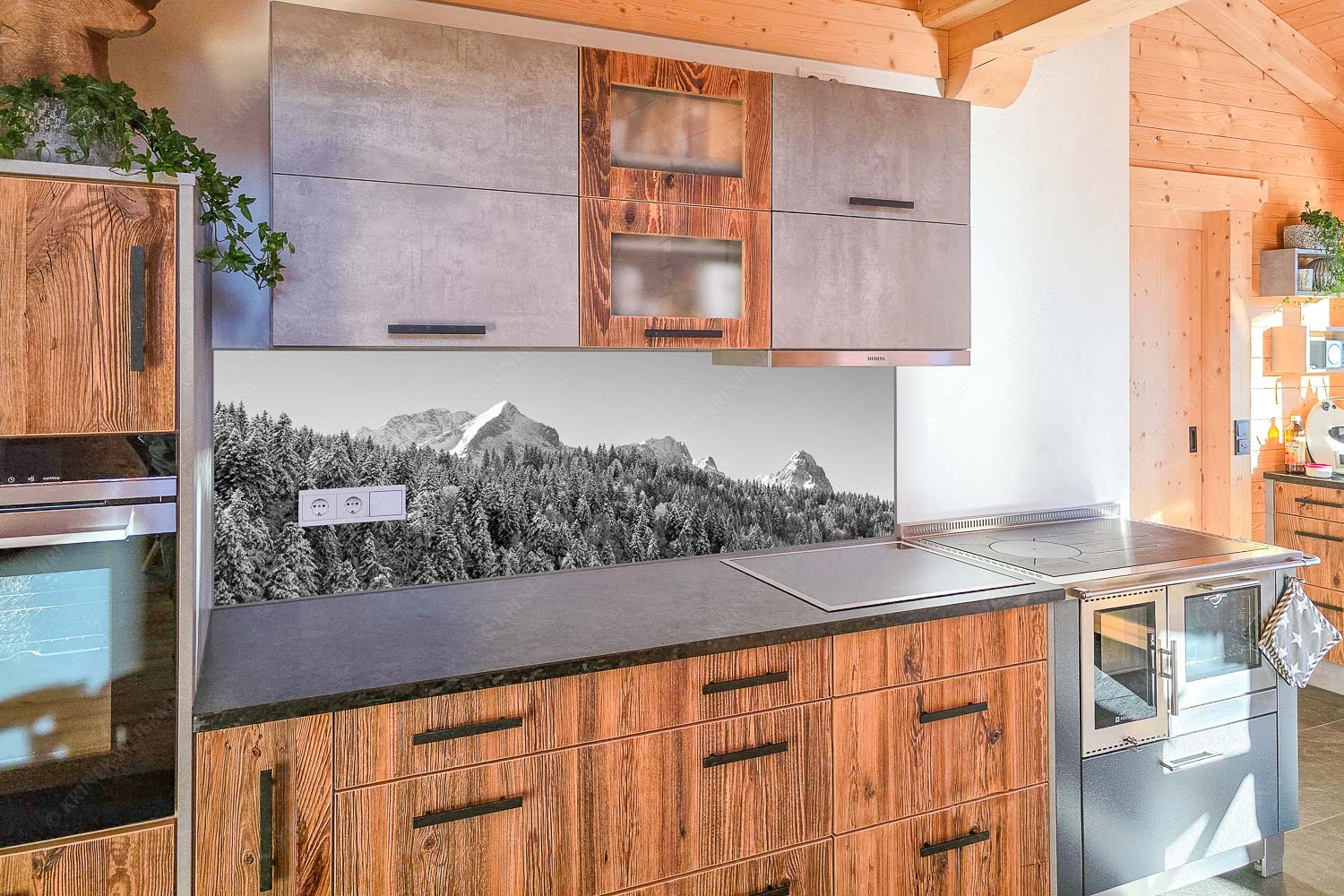 Wald bei Garmisch-Partenirchen mit Alpspitze, Zugspitze und Waxenstein im Wettersteingebirge - Küchenzeile=1 Die Wichtigsten-Alpspitze Zugspitze und Waxenstein 3:1 sw - mehr Infos bei www.Kriner-Weiermann.de