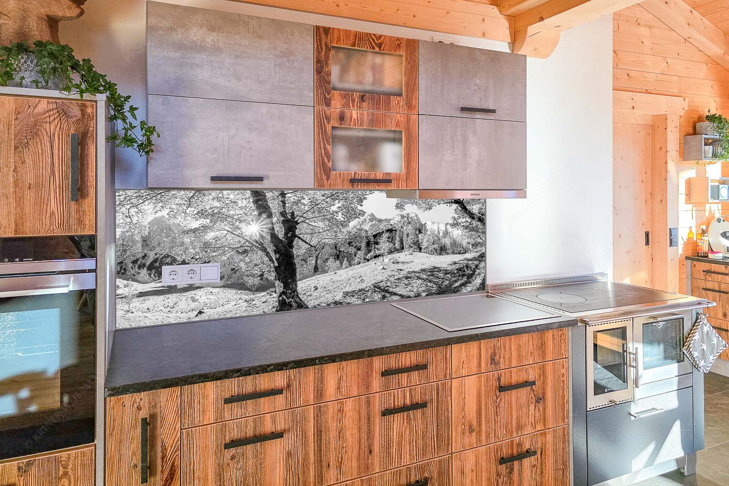 Herbstlicher Bergahorn im Oberreintal im Wettersteingebirge - Küchenzeile=1 Durchgeblitzt-Bergahorn im Oberreintal 3:1 sw - mehr Infos bei www.Kriner-Weiermann.de