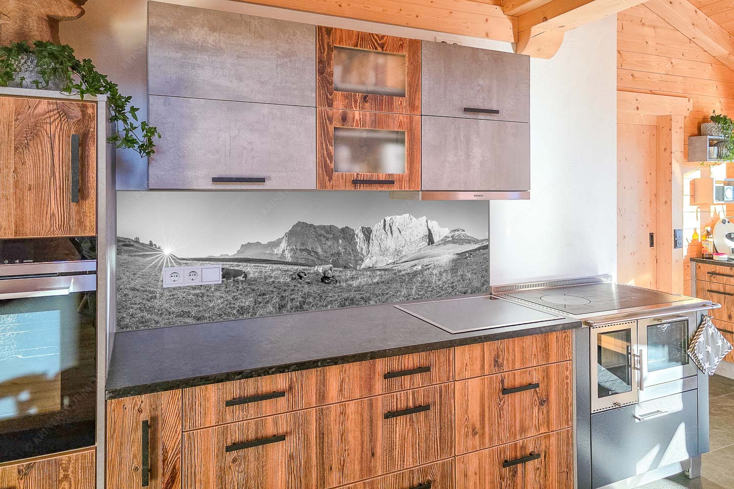 Jungvieh auf der Laliderer Hochlegeralm mit Spritzkar- und Dreizinkenspitze - Küchenzeile=1 Entspannter Morgen-Laliderer Hochlegeralm 3:1 sw - mehr Infos bei www.Kriner-Weiermann.de