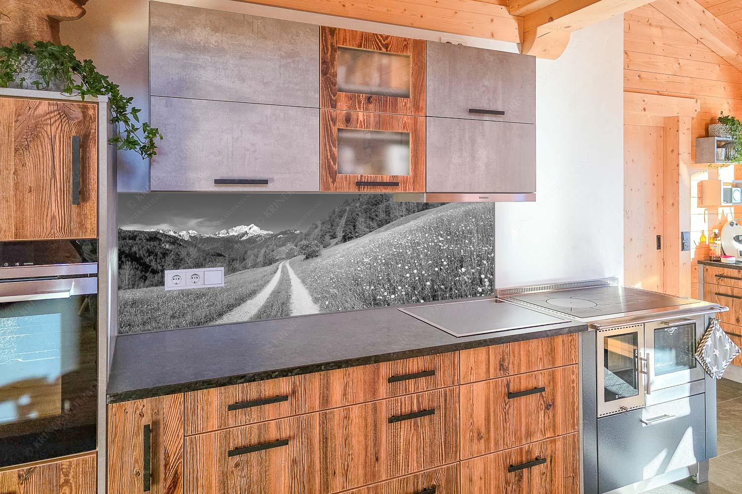 Feldweg durch die Bergbauernwiesen unterhalb vom Eckbauern - Küchenzeile=1 Feldweg-Alpspitze mit Hintergraseck 3:1 sw - mehr Infos bei www.Kriner-Weiermann.de