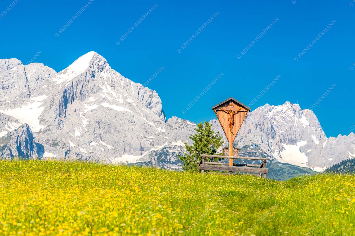 Blick über Blumenwiese am Eckbauer zum Zugspitzmassiv - Wegkreuz_3zu2 - mehr Infos bei www.Kriner-Weiermann.de