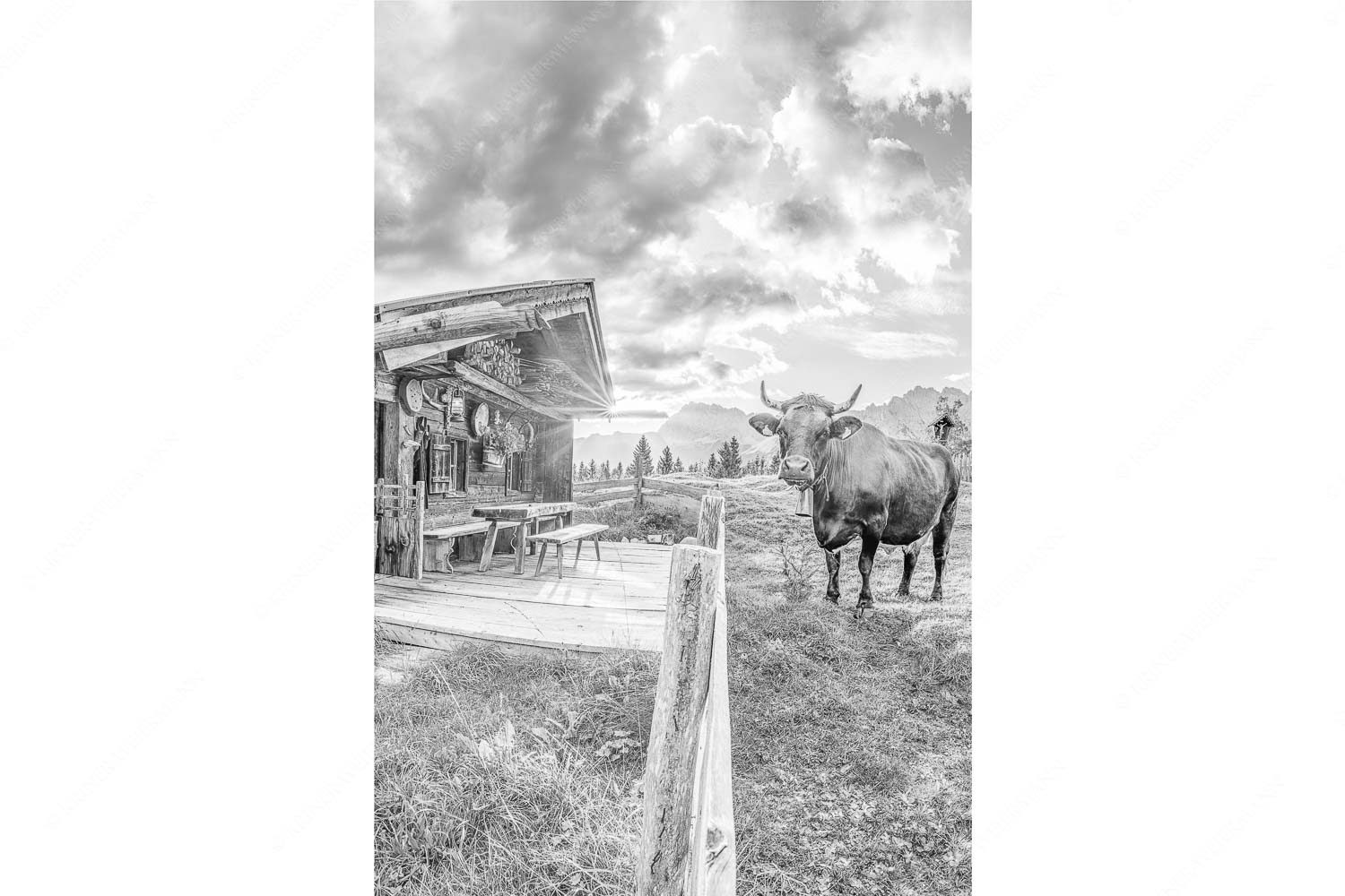 Malerische Almhütte bei Mittenwald mit Karwendel - Almbiente II_2zu3_sw - mehr Infos bei www.Kriner-Weiermann.de