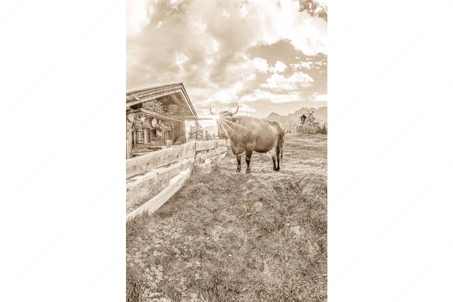 Malerische Almhütte bei Mittenwald mit Karwendel - Almbiente IV_2zu3_sepia - mehr Infos bei www.Kriner-Weiermann.de