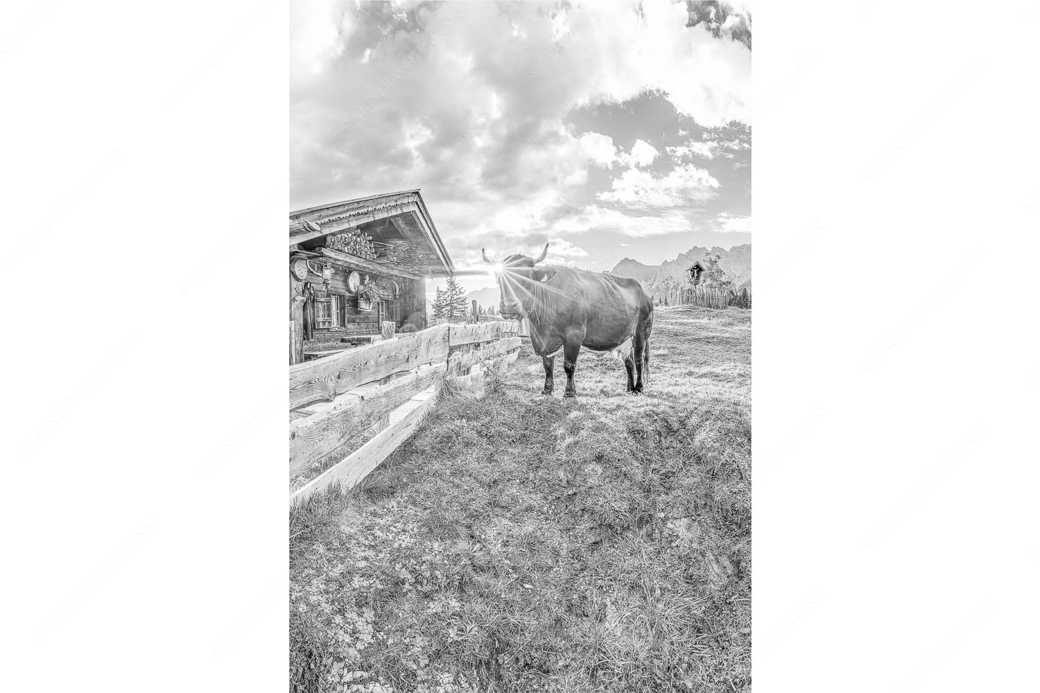 Malerische Almhütte bei Mittenwald mit Karwendel - Almbiente IV_2zu3_sw - mehr Infos bei www.Kriner-Weiermann.de