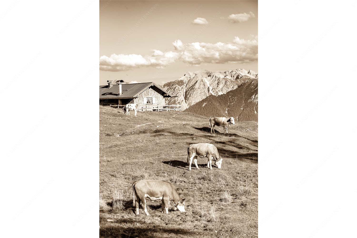 Blick über Krüneralm ins Karwendelgebirge - Auf da Krüneralm III_2zu3_sepia - mehr Infos bei www.Kriner-Weiermann.de