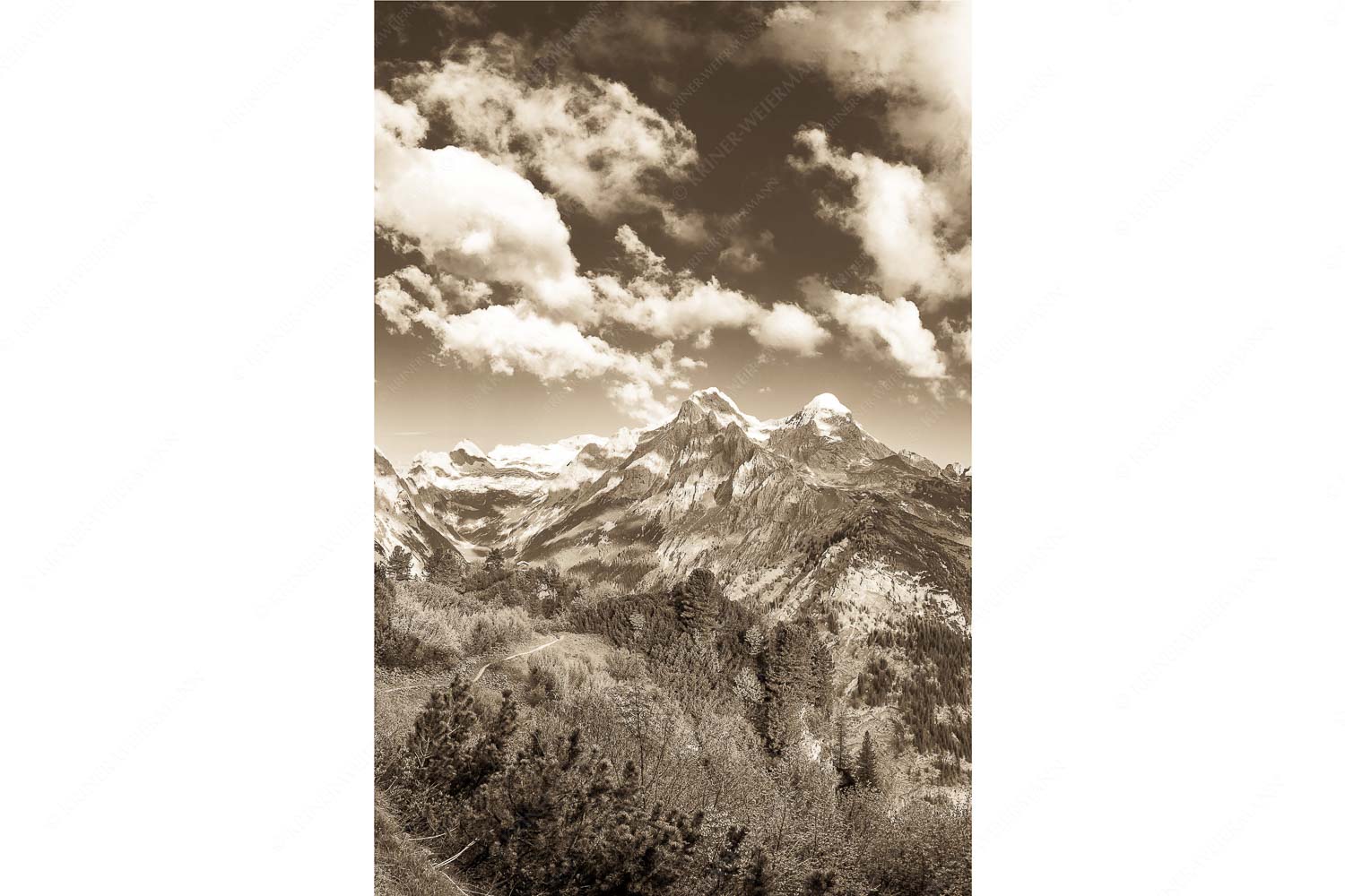 Blick über die Aussichtskanzel am Schachen zum Alpspitzmassiv mit Zugspitzplatt - Bella Vista_2zu3_sepia - mehr Infos bei www.Kriner-Weiermann.de